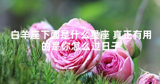 白羊座下面是什么星座 真正有用的是你怎么过日子
